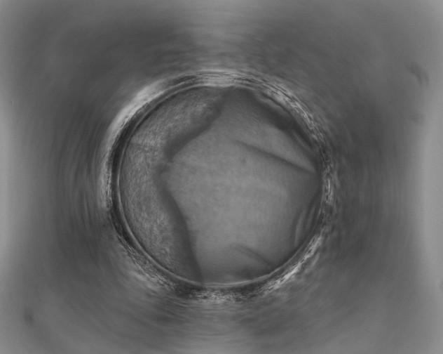 X0000112030343200908101344