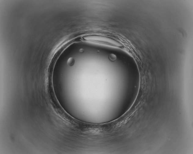 X0000112030344200908101344