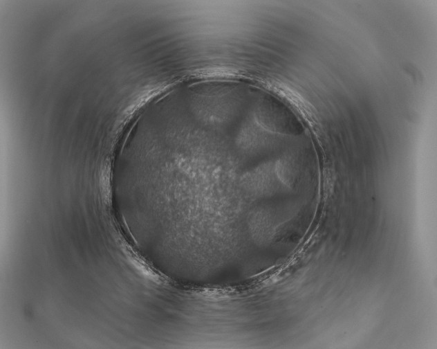 X0000112030345200908101344
