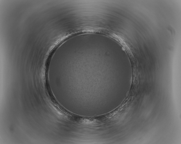 X0000112030346200908101344