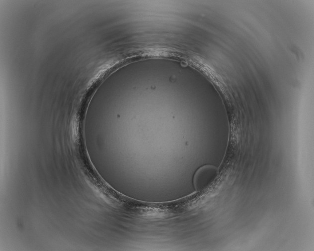 X0000112030347200908101344