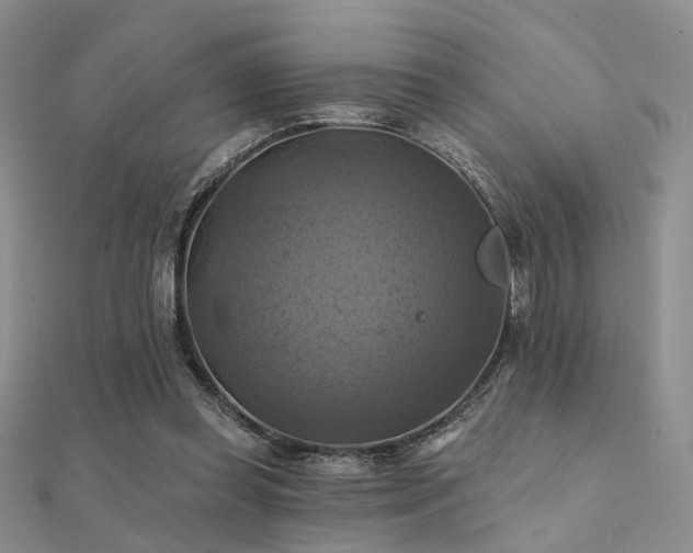 X0000112030349200908101344