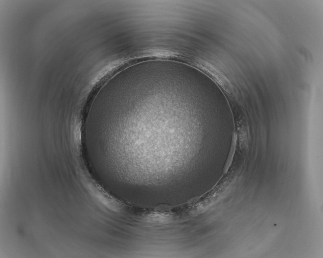 X0000112030350200908101344