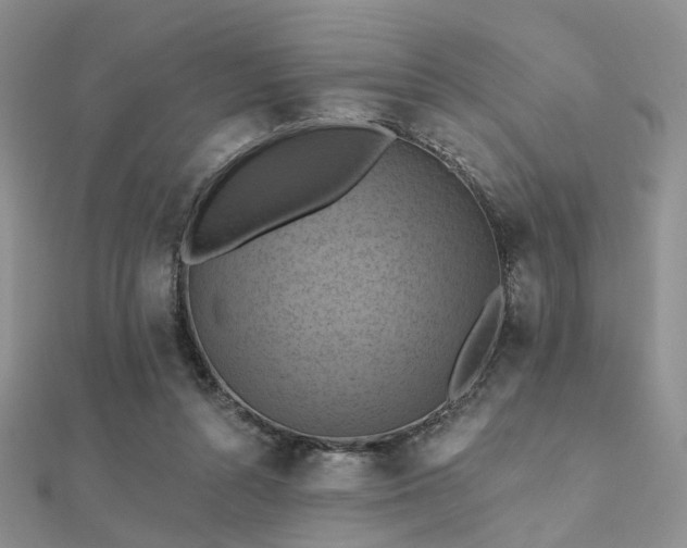 X0000112030352200908101344