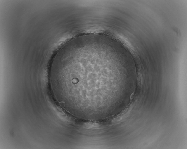 X0000112030354200908101344