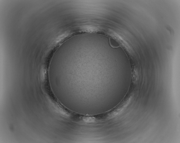 X0000112030355200908101344