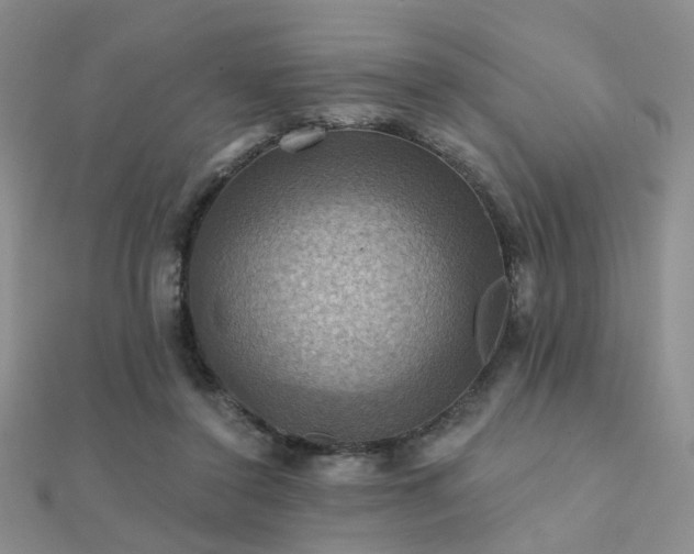 X0000112030356200908101344