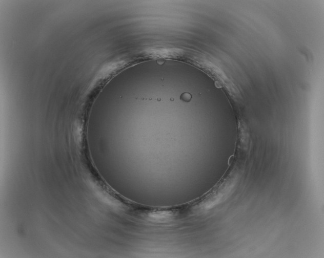 X0000112030357200908101344