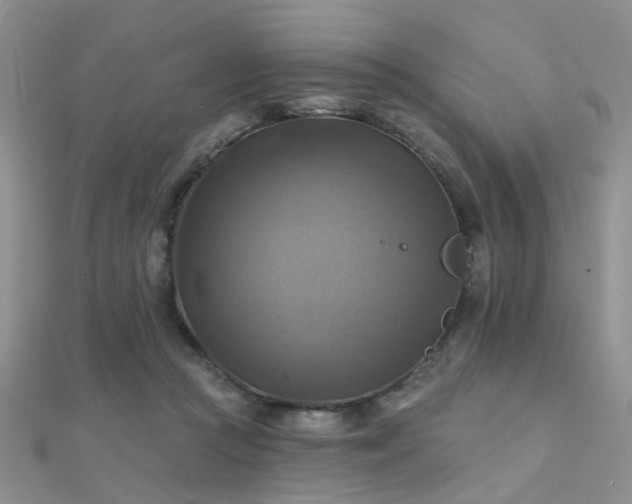 X0000112030361200908101344