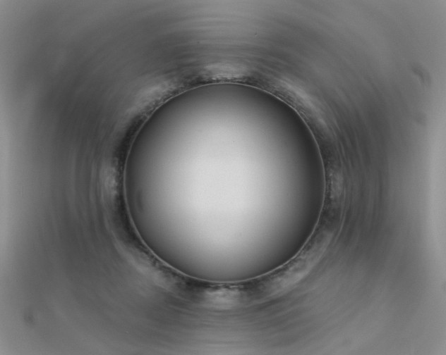 X0000112030362200908101344