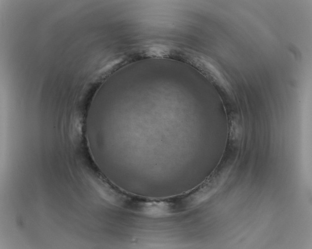 X0000112030363200908101344