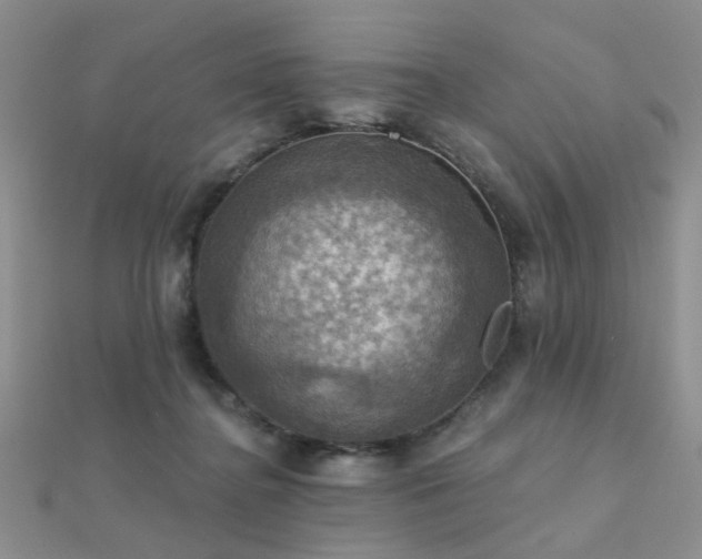 X0000112030364200908101344