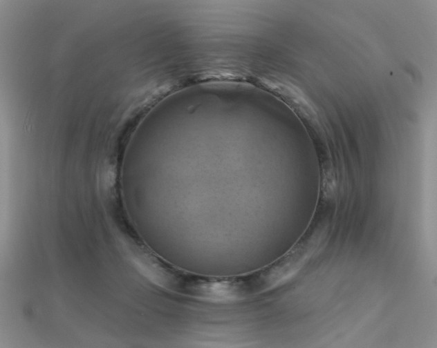 X0000112030365200908101344