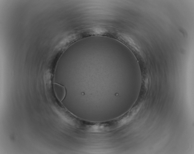 X0000112030366200908101344