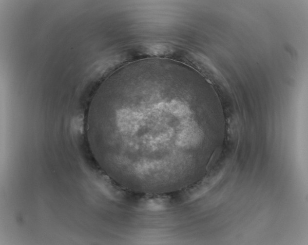 X0000112030368200908101344