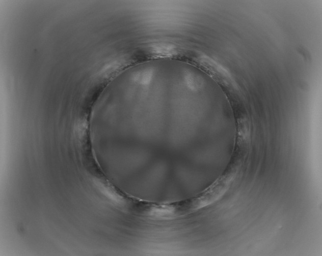 X0000112030369200908101344