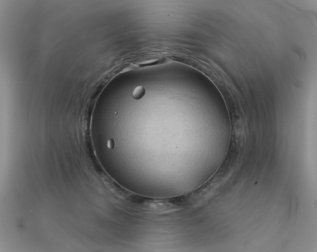 X0000112030372200908101344