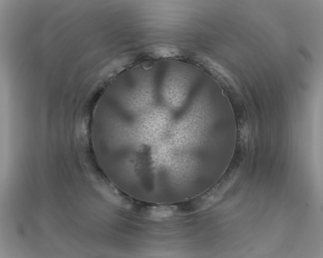 X0000112030373200908101344