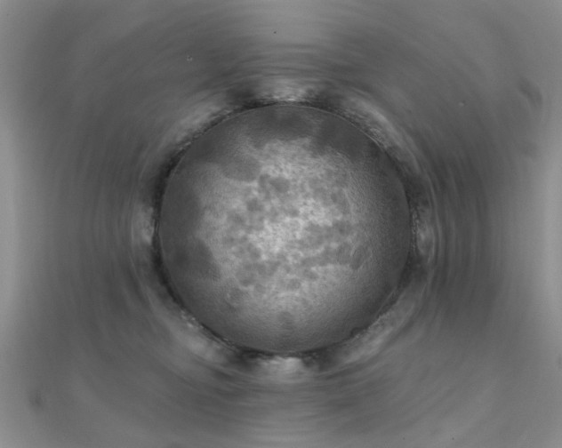 X0000112030374200908101344