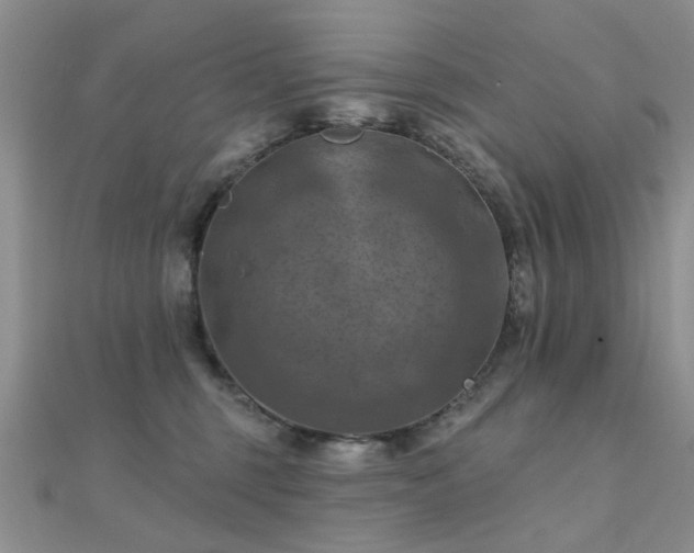 X0000112030375200908101344