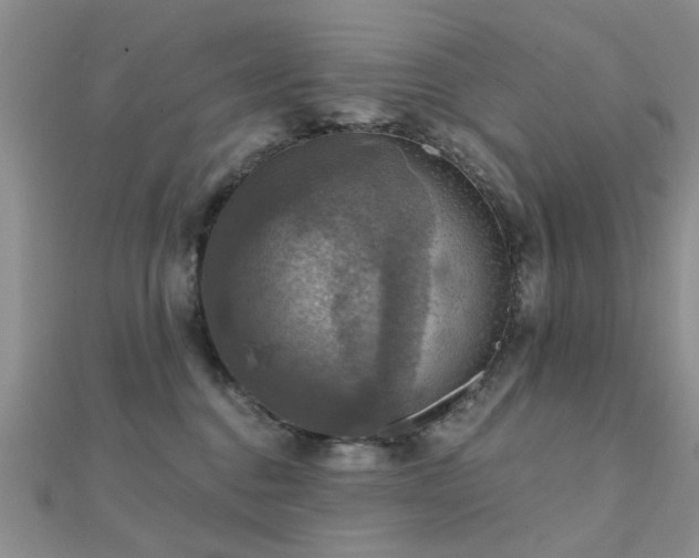 X0000112030376200908101344
