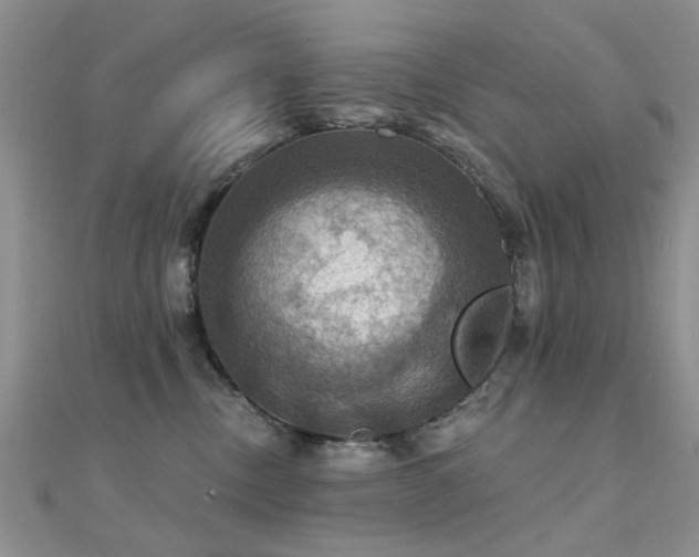 X0000112030378200908101344