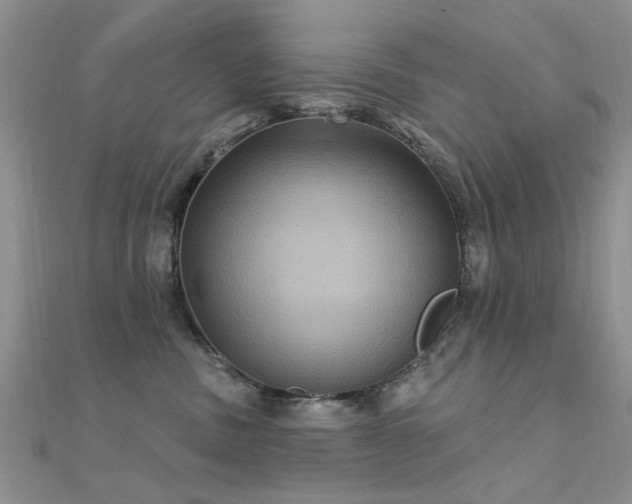 X0000112030379200908101344