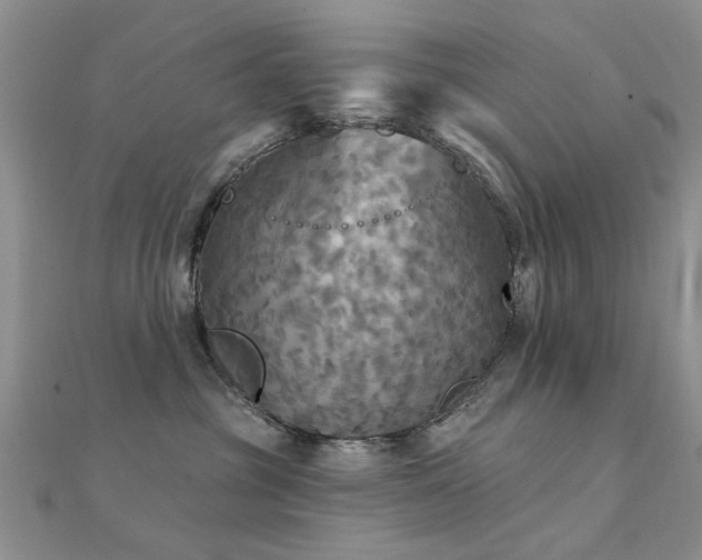 X0000112030381200908101344