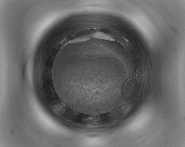 X0000112030383200908101344
