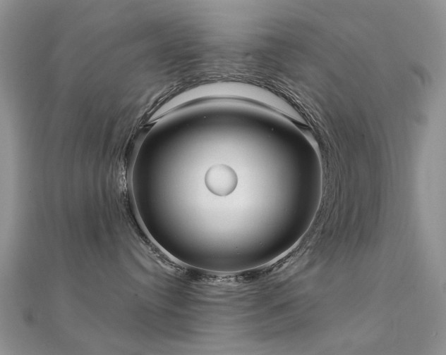 X0000112030384200908101344