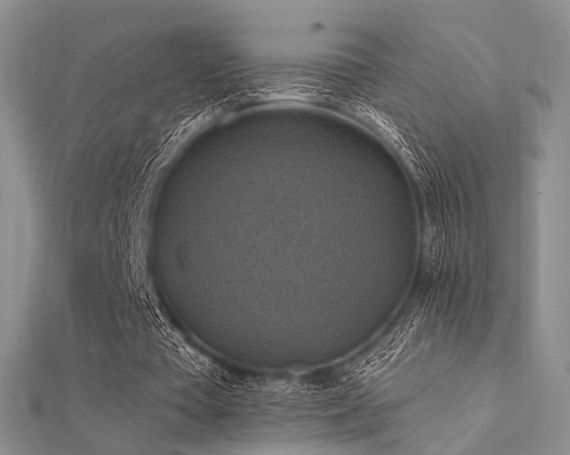 X0000112030385200908101344