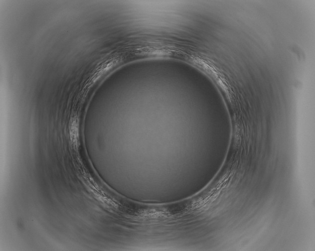 X0000112030386200908101343