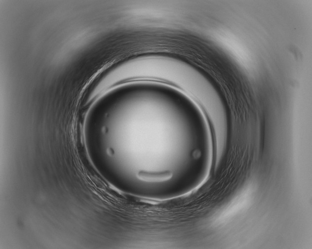 X0000112030387200908101343