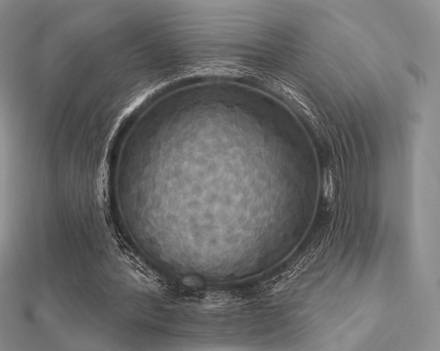 X0000112030388200908101343