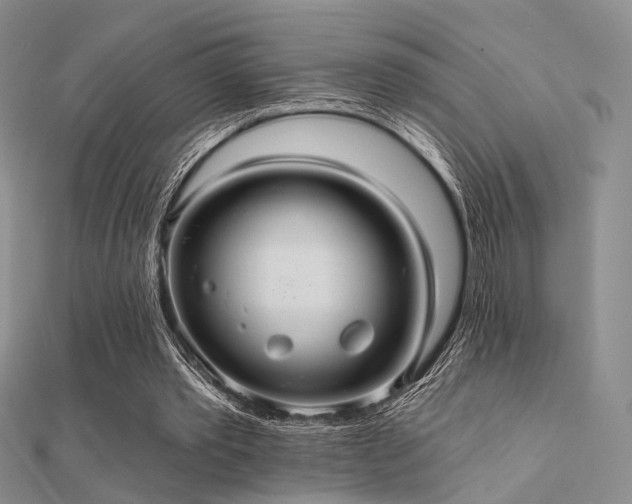 X0000112030389200908101343