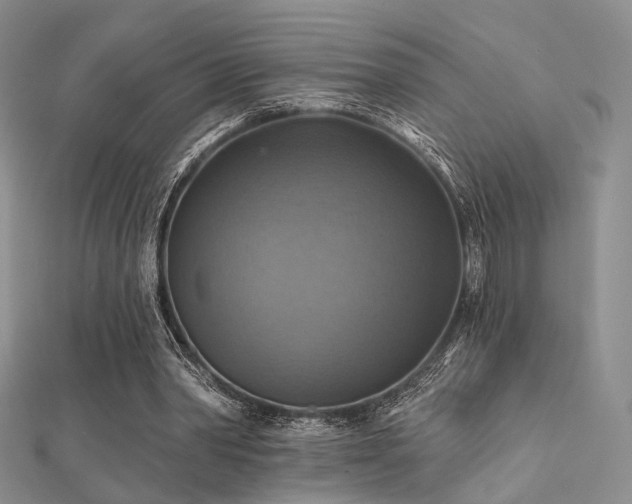 X0000112030390200908101343