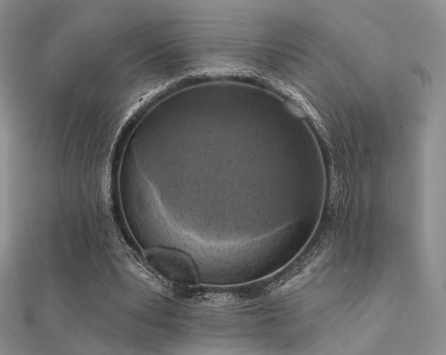 X0000112030391200908101343