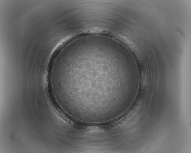 X0000112030392200908101343