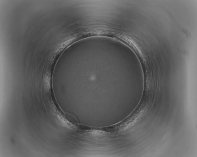 X0000112030393200908101343