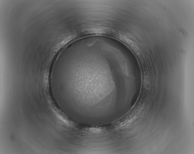 X0000112030394200908101343