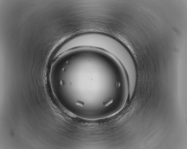 X0000112030395200908101343