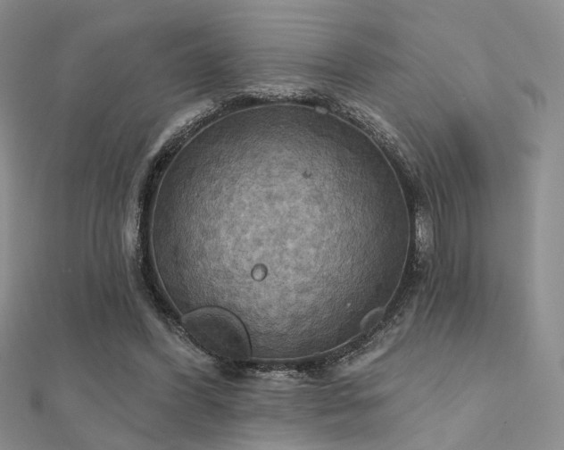 X0000112030396200908101343