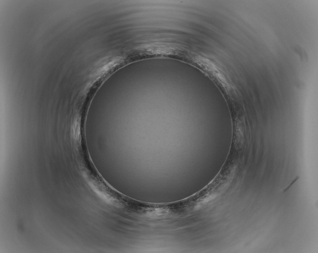 X0000112030398200908101343