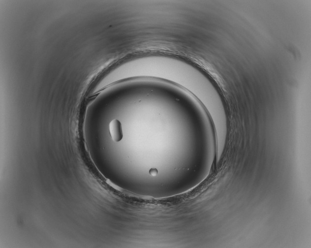 X0000112030399200908101343