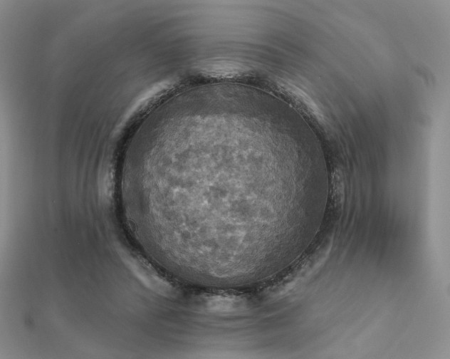 X0000112030400200908101343