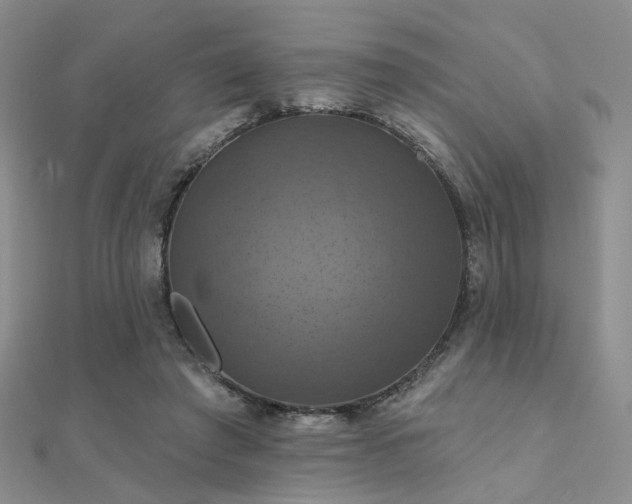 X0000112030401200908101343