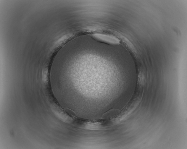 X0000112030403200908101343