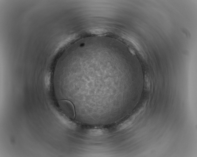 X0000112030404200908101343