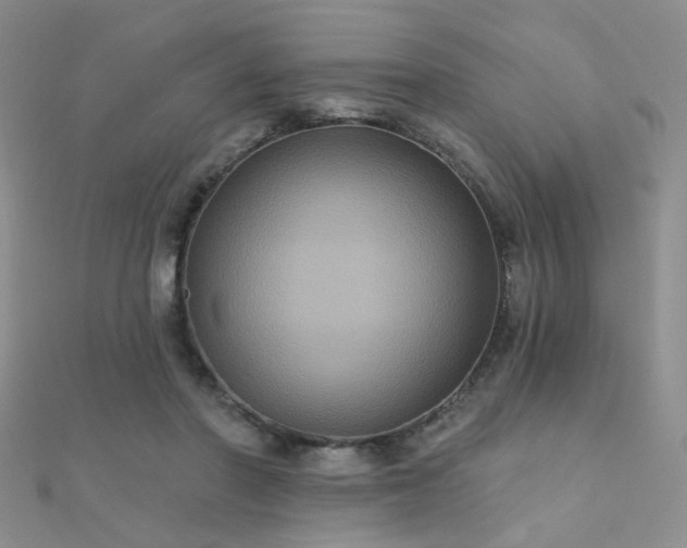 X0000112030406200908101343