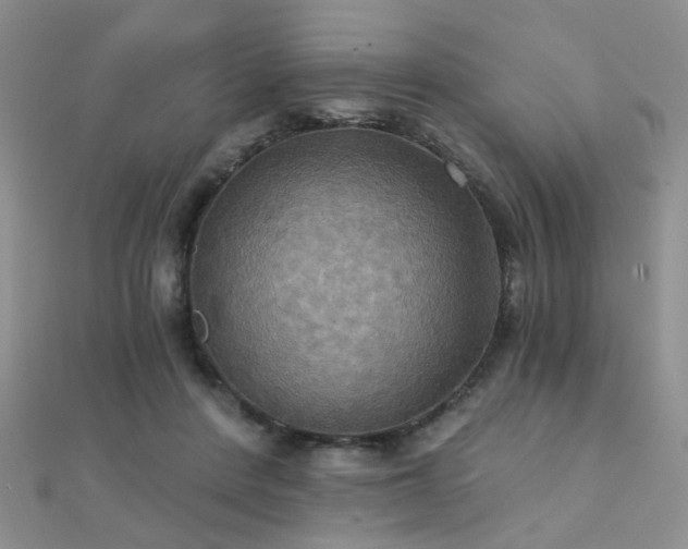 X0000112030408200908101343